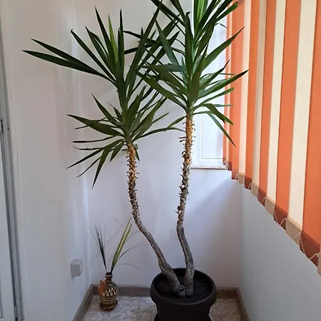 Mia Apartment