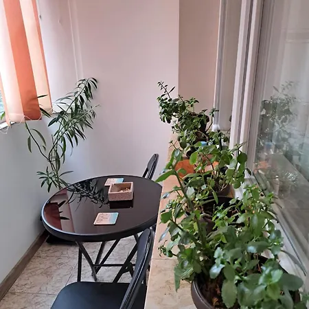 Mia Apartment *