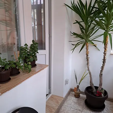 Apartment Mia *